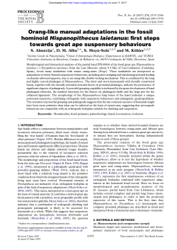 Orang-like manual adaptations in the fossil hominoid