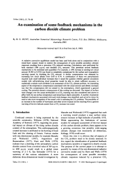 An examination of some feedback mechanisms in the carbon