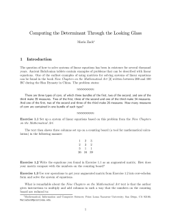 Computing the Determinant Through the Looking Glass