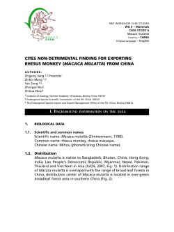 Case study