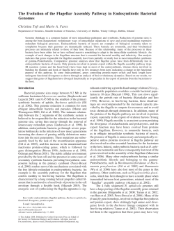The Evolution of the Flagellar Assembly Pathway