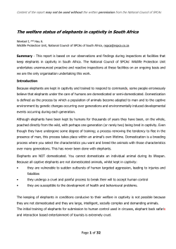 The welfare status of elephants in captivity in South Africa