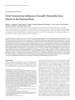 Fetal Testosterone Influences Sexually Dimorphic Gray Matter in the