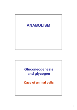 anabolism - biochimie12papy
