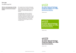 Logo Unit Guidelines