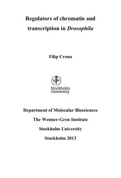 Regulators of chromatin and transcription in Drosophila