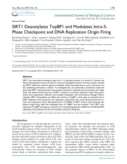Phase Checkpoint and DNA Replication Origin Firing