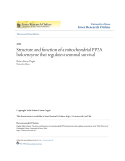 Structure and function of a mitochondrial PP2A holoenzyme that