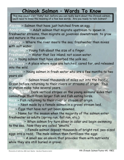 Chinook Salmon &ndash; Words To Know