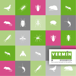 Pest control that gets to the point
