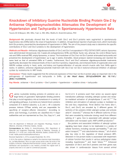 Knockdown of Inhibitory Guanine Nucleotide Binding Protein Gi&alpha;‐2