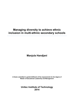 Managing diversity to achieve ethnic inclusion in multi