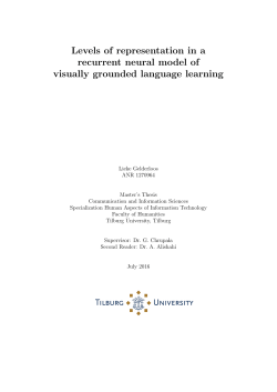Levels of representation in a recurrent neural