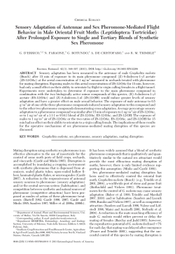 Sensory Adaptation of Antennae and Sex Pheromone