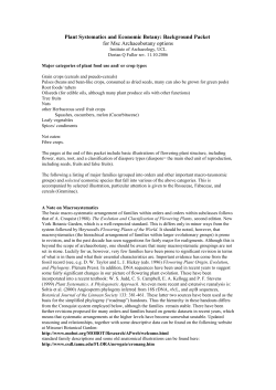 Plant Systematics and Economic Botany