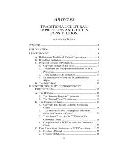 Traditional Cultural Expressions and the U.S. Constitution