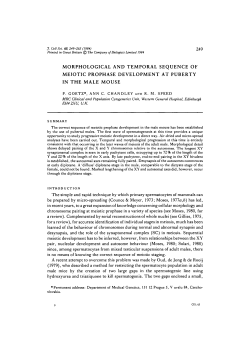 morphological and temporal sequence of meiotic prophase