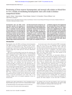Positioning of bone marrow hematopoietic and stromal cells relative