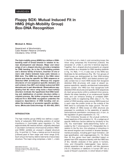 Floppy SOX: Mutual Induced Fit in HMG (High