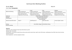 Cub Scout Den Meeting Outline