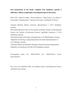 Iron homeostasis in the brain: complete iron regulatory protein 2