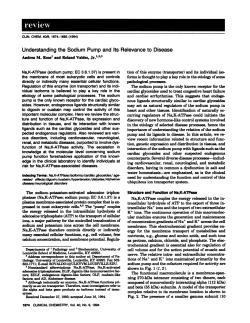 Understanding the Sodium Pump and Its Relevance to Disease