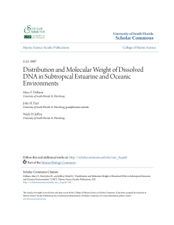 Distribution and Molecular Weight of Dissolved DNA in Subtropical