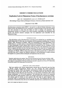 SHORT COMMUNICATION Duplication Cycle in