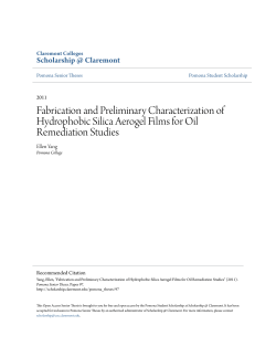 Fabrication and Preliminary Characterization of Hydrophobic Silica