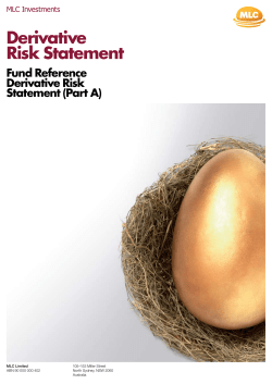 Derivative Risk Statement