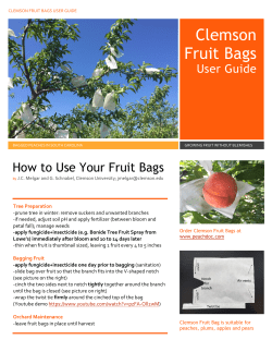Clemson Fruit Bags - Clemson University