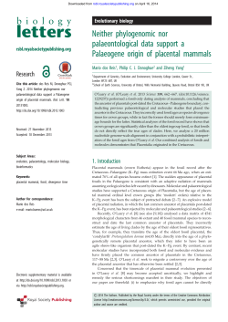 Neither phylogenomic nor palaeontological data