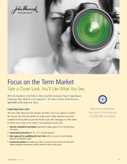 Focus on the Term Market