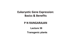 Lecture 36 Transgenic plants