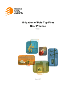 Mitigation of Pole Top Fires Best Practice