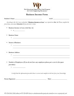 Business Income Form