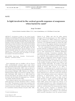 Full text in pdf format