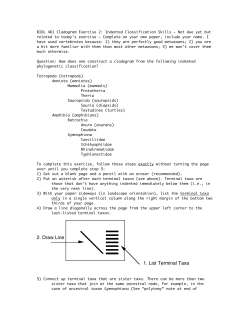 phylogeny exercise