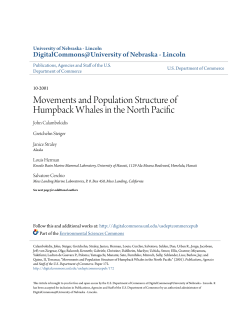 Movements and Population Structure of Humpback Whales in the