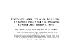 Evapotranspiration from a Deciduous Forest in a