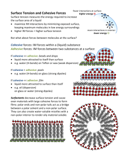 Surface Tension and Cohesive Forces