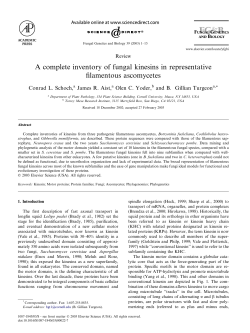 A complete inventory of fungal kinesins in representative