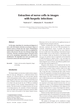 Extraction of nerve cells in images with herpetic infections
