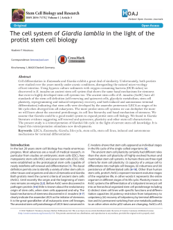The cell system of Giardia lamblia in the light of the protist stem cell