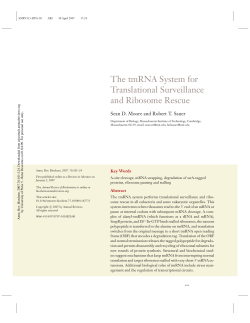 The tmRNA System for Translational Surveillance and Ribosome