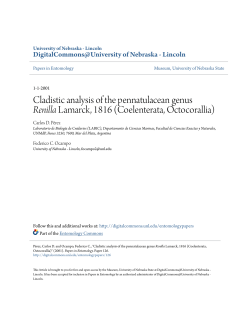 Cladistic analysis of the pennatulacean genus Renilla Lamarck