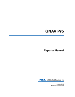 GNAV Pro Client Reports Manual