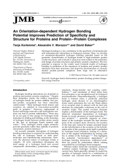 An Orientation-dependent Hydrogen Bonding Potential Improves