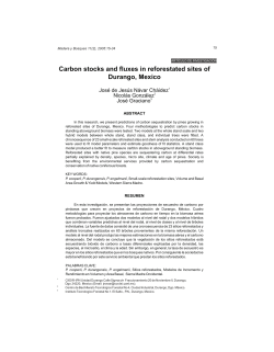 carbon stocks - Madera y Bosques