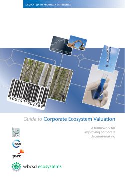 Guide to Corporate Ecosystem Valuation